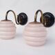 Brass and glass swan neck wall lights