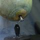 Globe early twentieth girard barrère and thomas