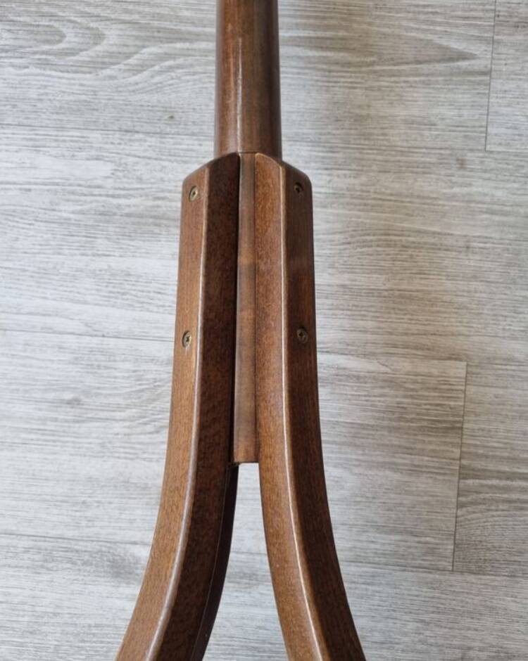 Wooden parrot coat rack