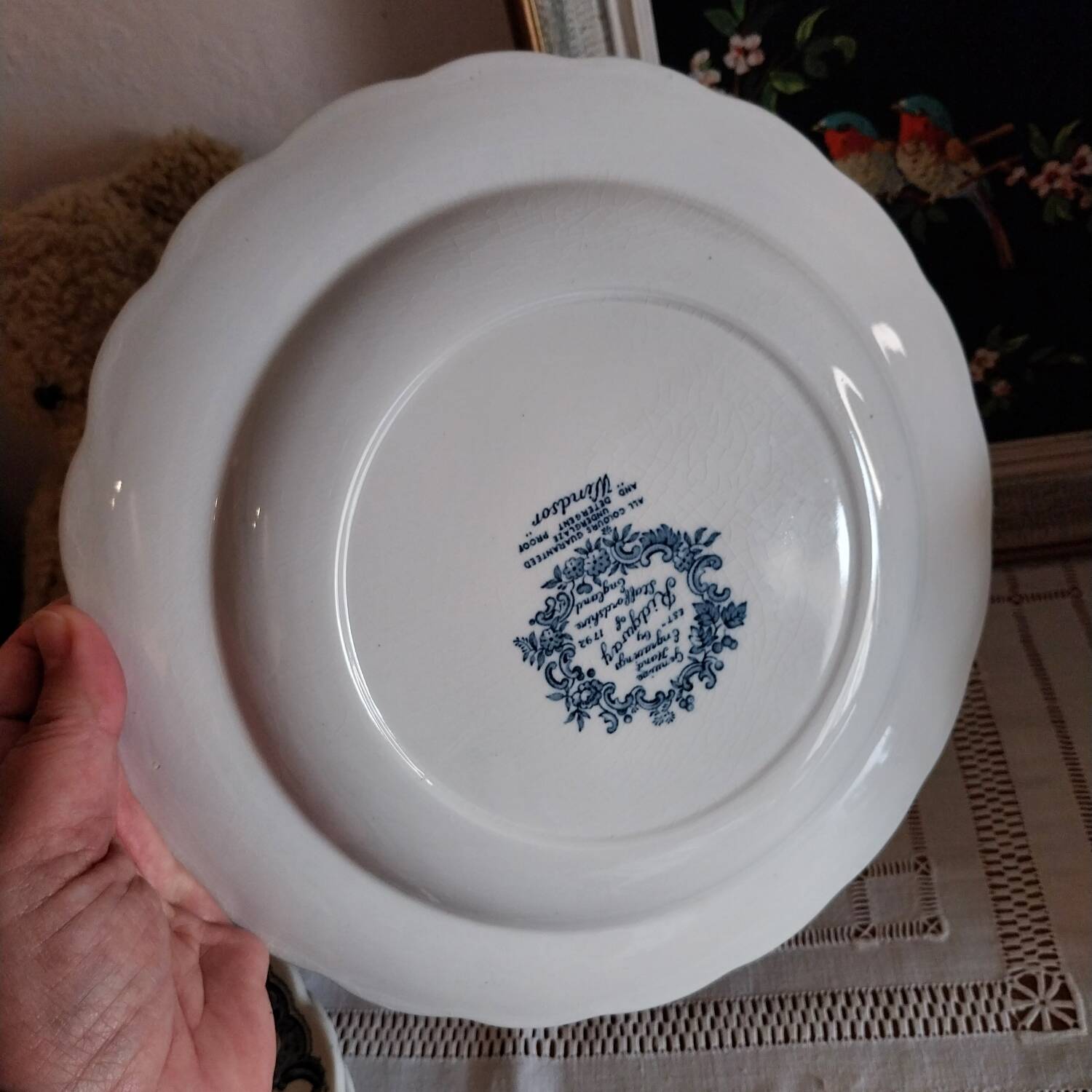 English dinner plates Ridgway of staffordshire Windsor