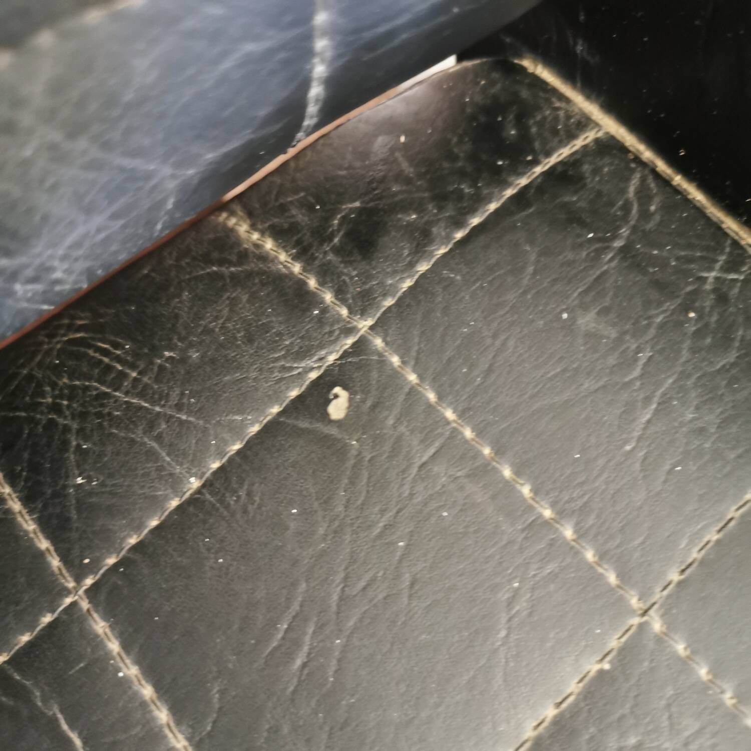 'Conseil' armchair by Pierre Gariche for Meurop 1960s