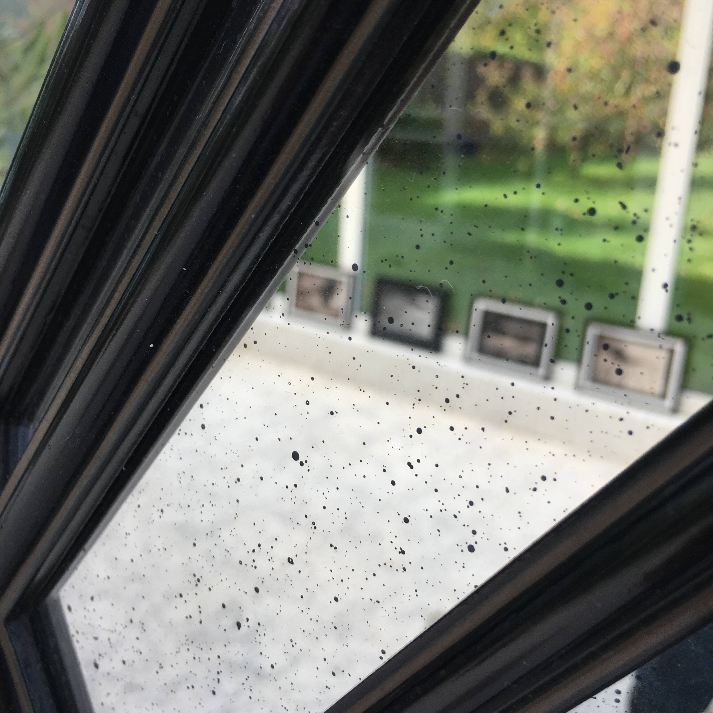 Octagonal mirror with glazing bars