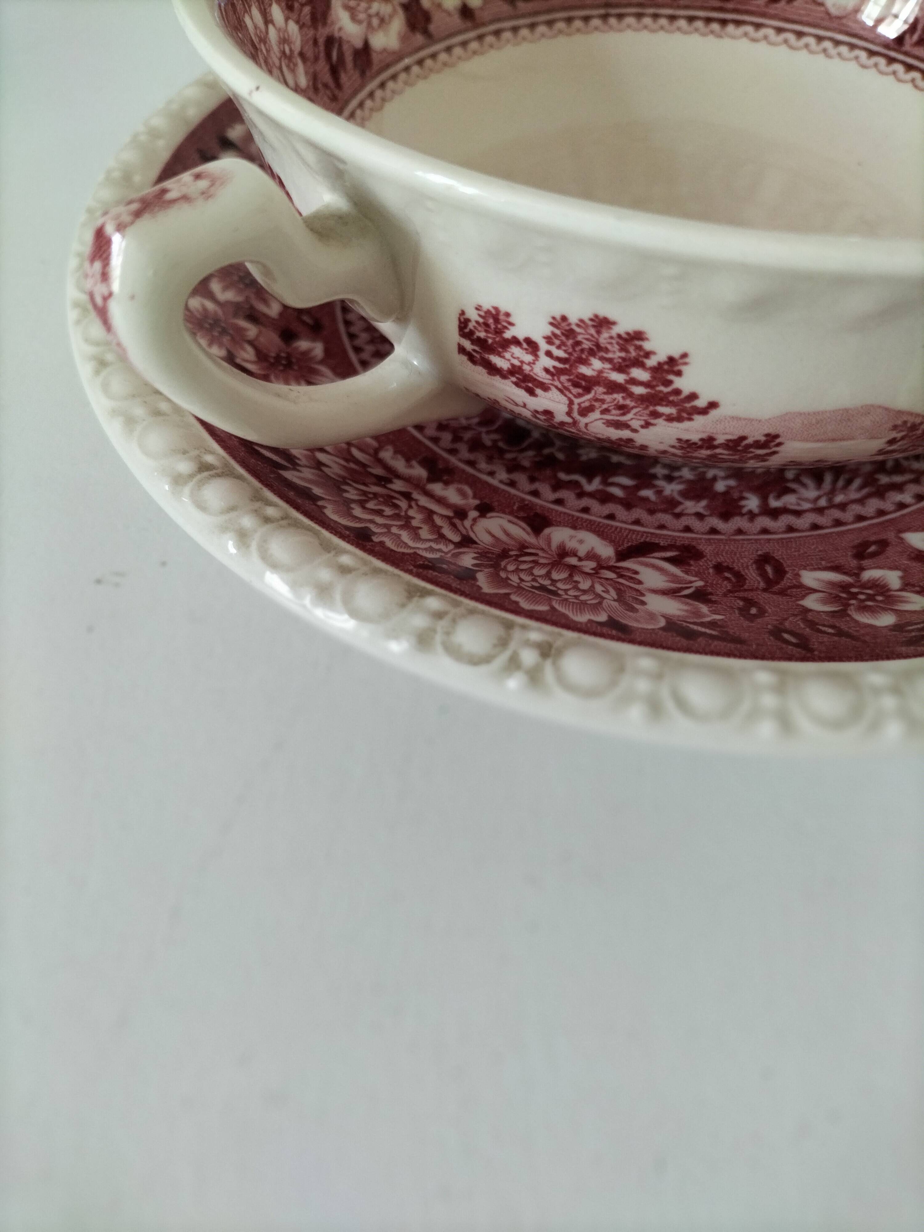 Villeroy and Boch Rusticana two-handled cup and saucer