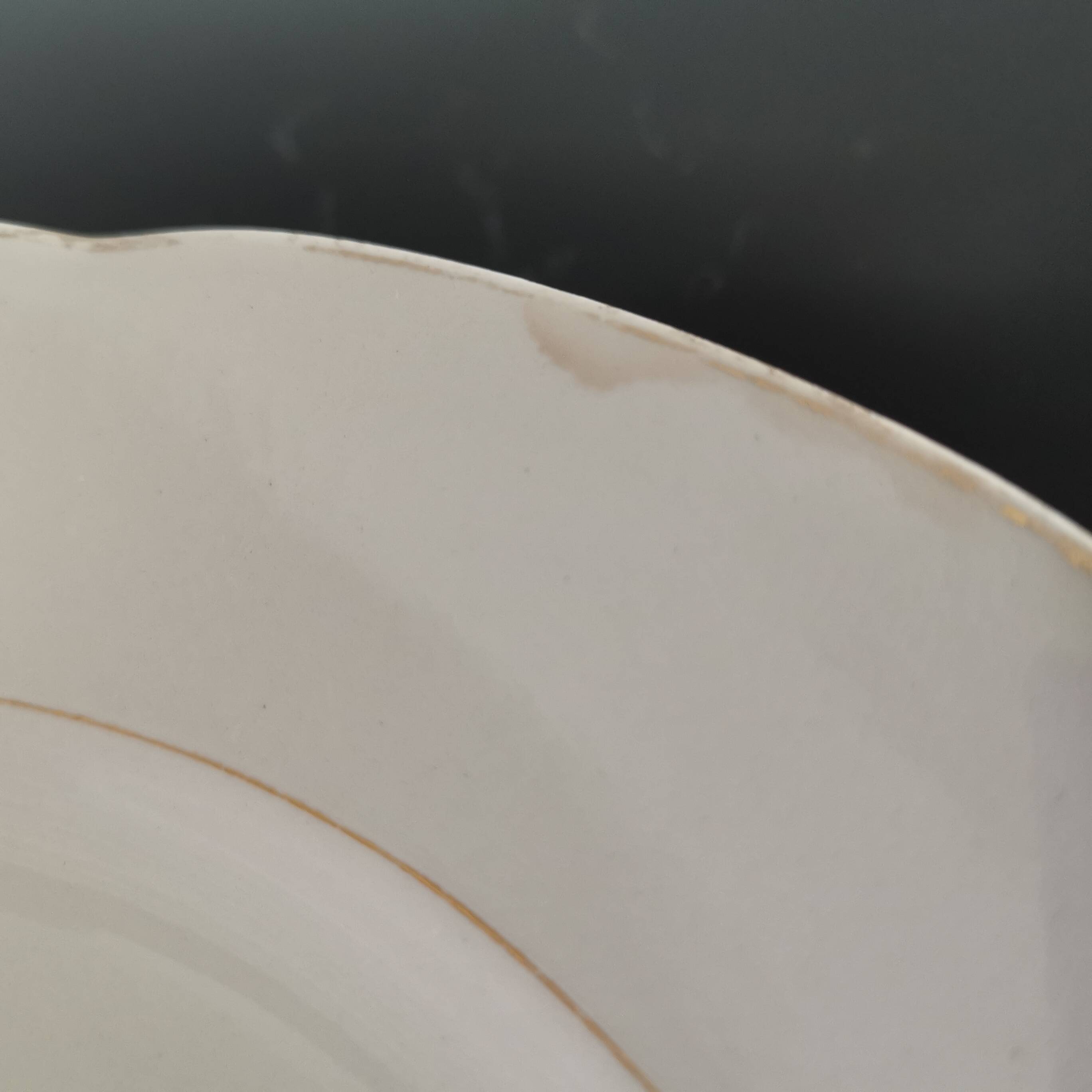 Set of 6 Villeroy and Boch flat plates in ivory color and gold edging