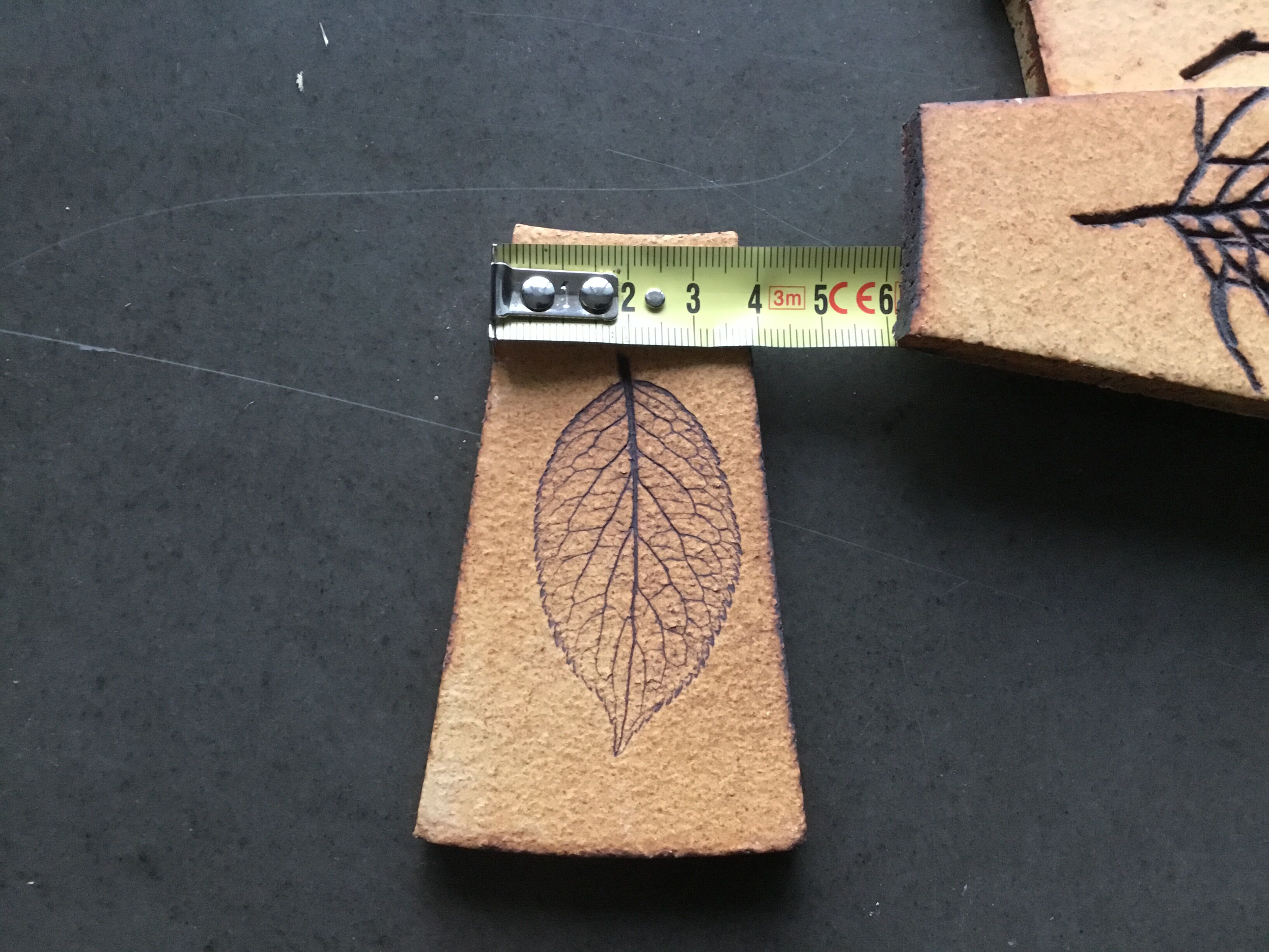 Carreaux herbier Roger Capron
