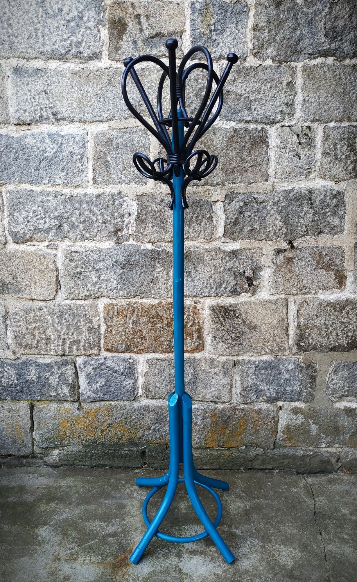 Painted parrot coats door