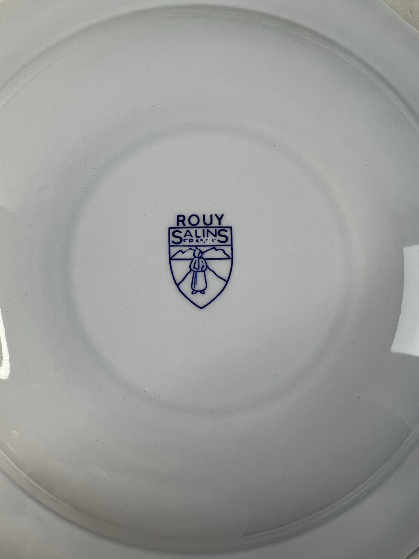 Set of 6 deep plates Salins Royal France with blue floral decoration.