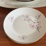 Hollow plates and flat cherry trees Stelmann