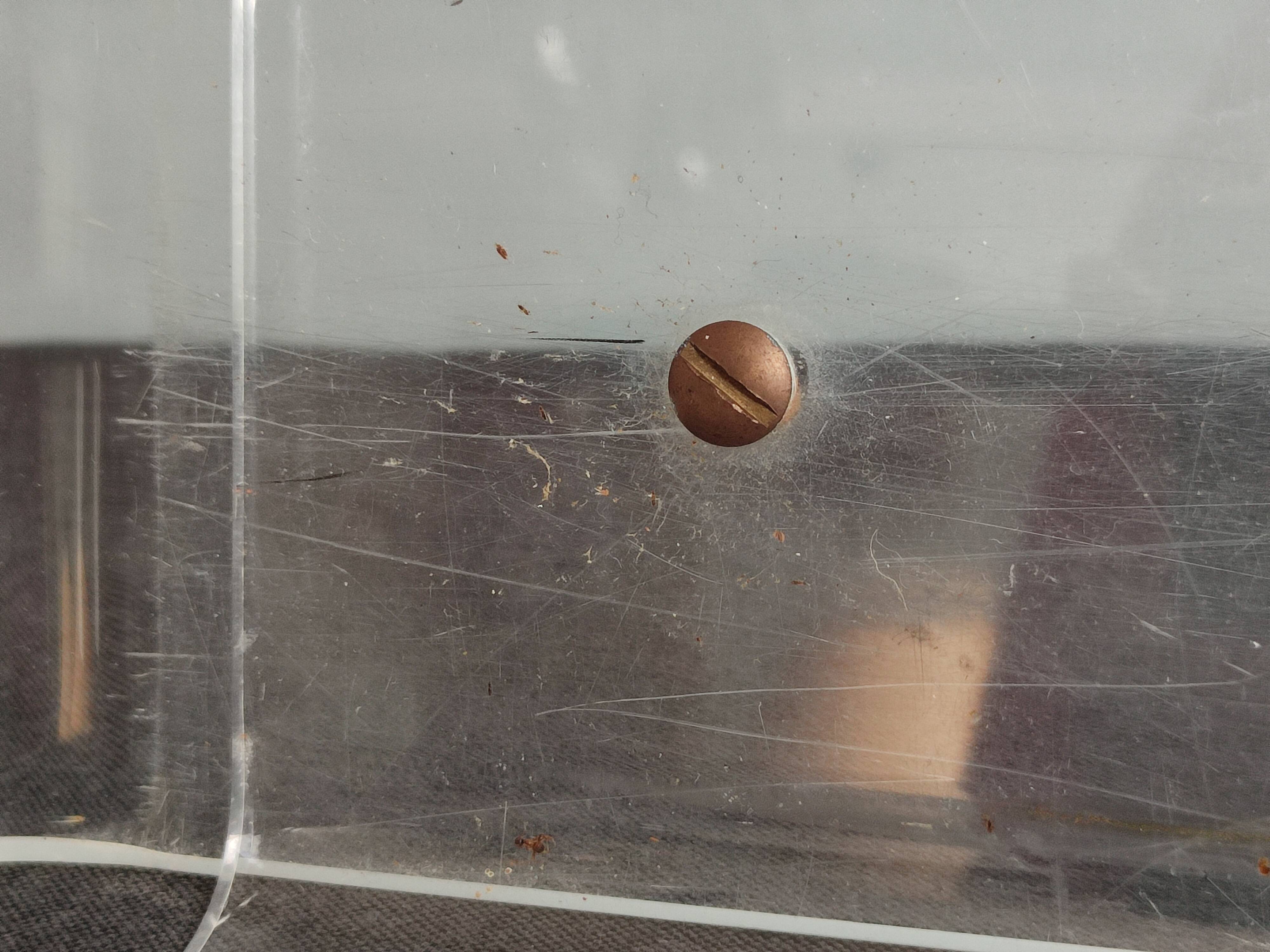 Vintage Roche Bobois plexiglass magazine door