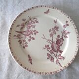 Old faience plates