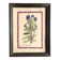 Botanical plate under glass