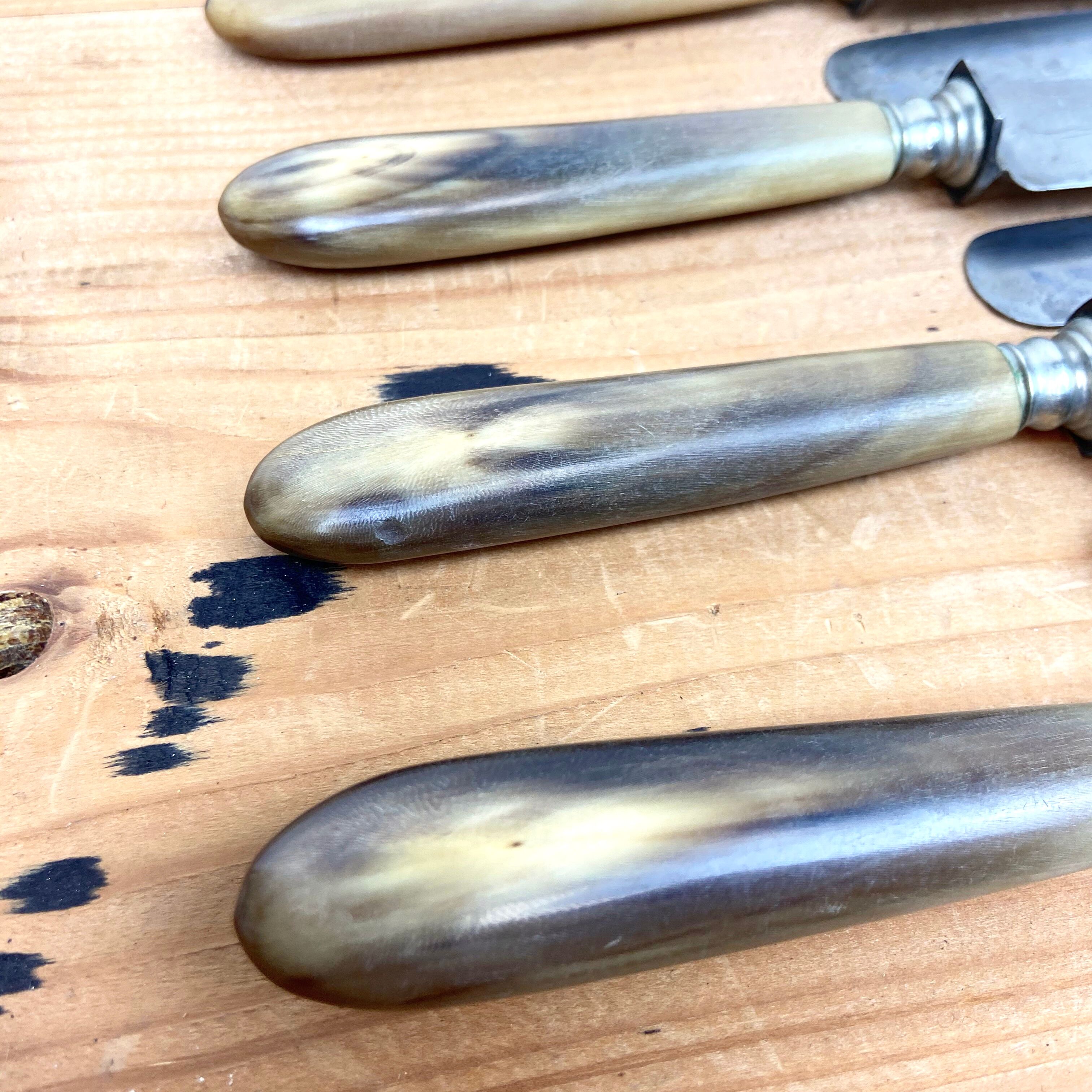 Service Of 12 Table Knives - Blonde Horn Handle