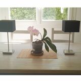 2 touch lamps