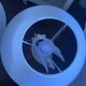 Lot de 2 lampes cygnes Bassano Italy