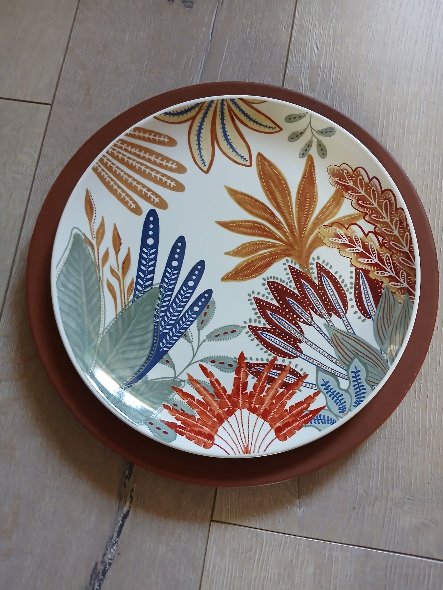 12 large flat plates Molin / Charolles