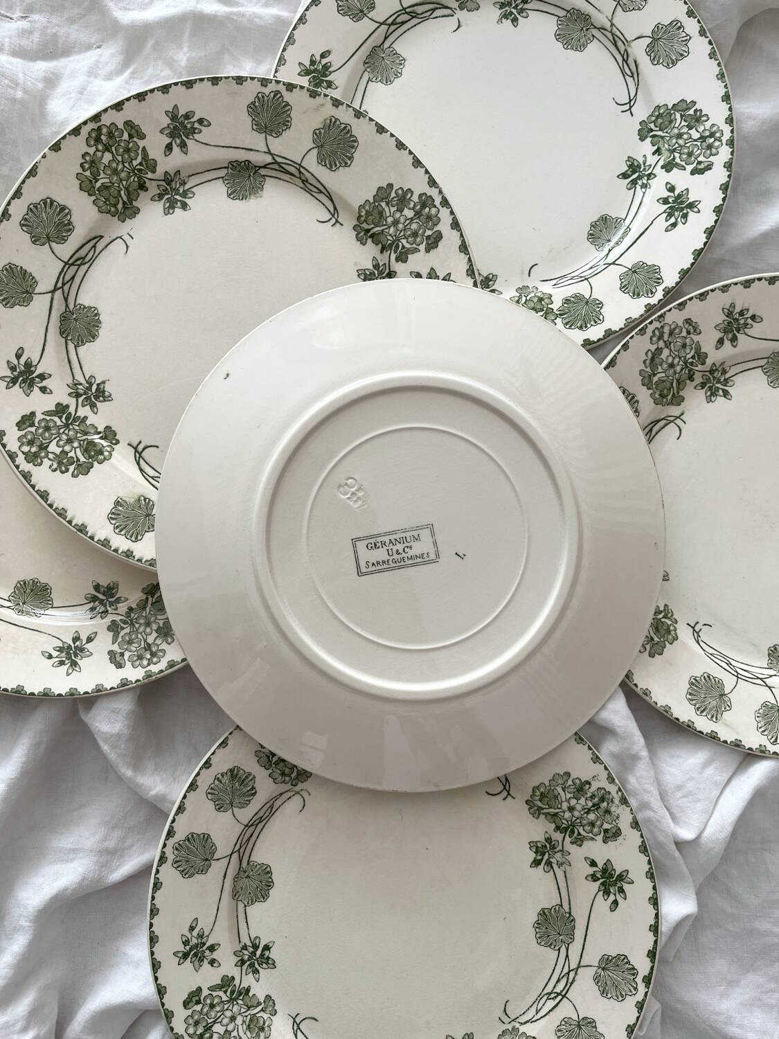 6 antique flat plates made of ironstone "Géranium" Sarreguemines