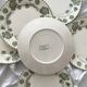 6 antique flat plates made of ironstone "Géranium" Sarreguemines