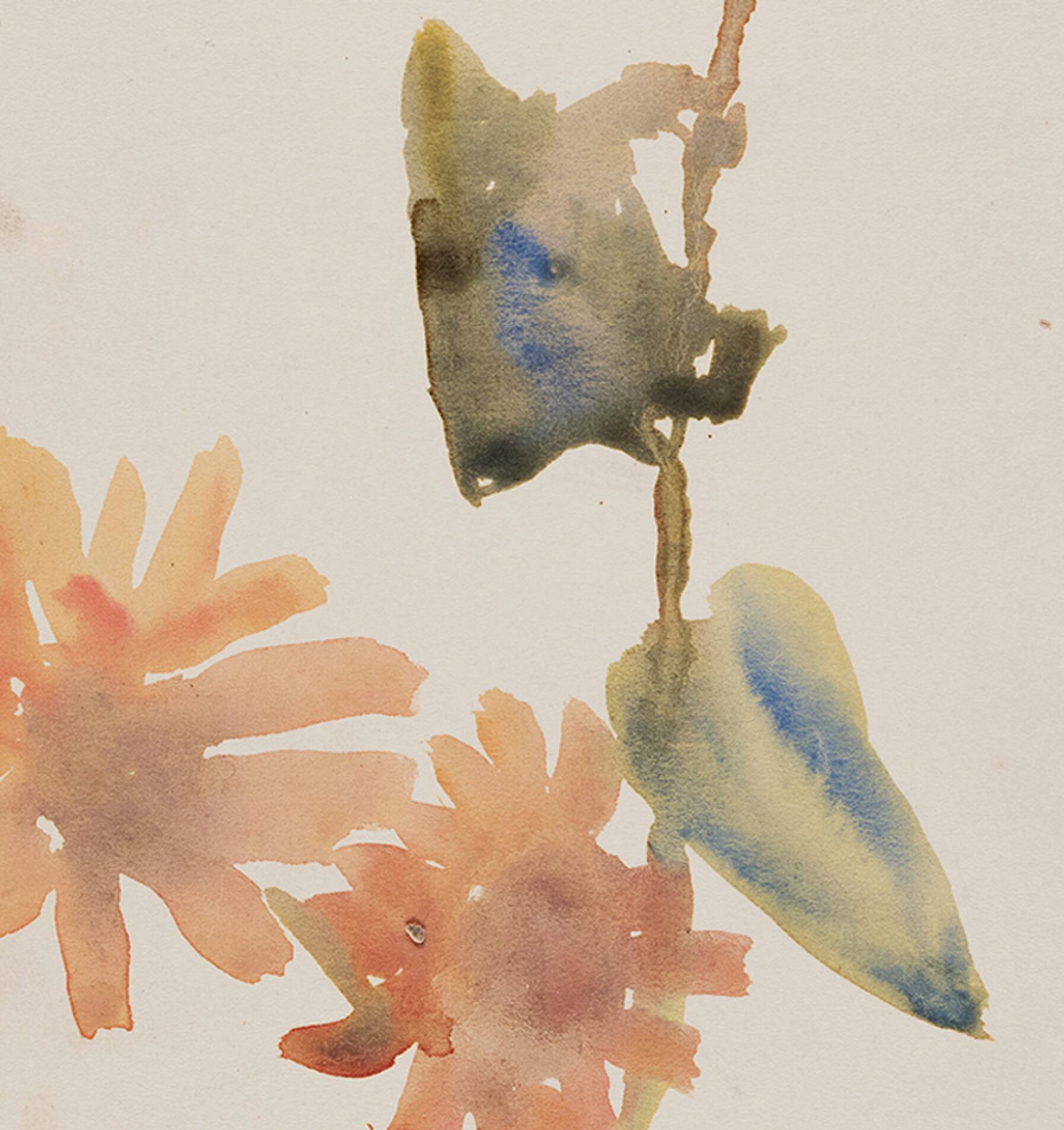 Watercolor illustration flowers