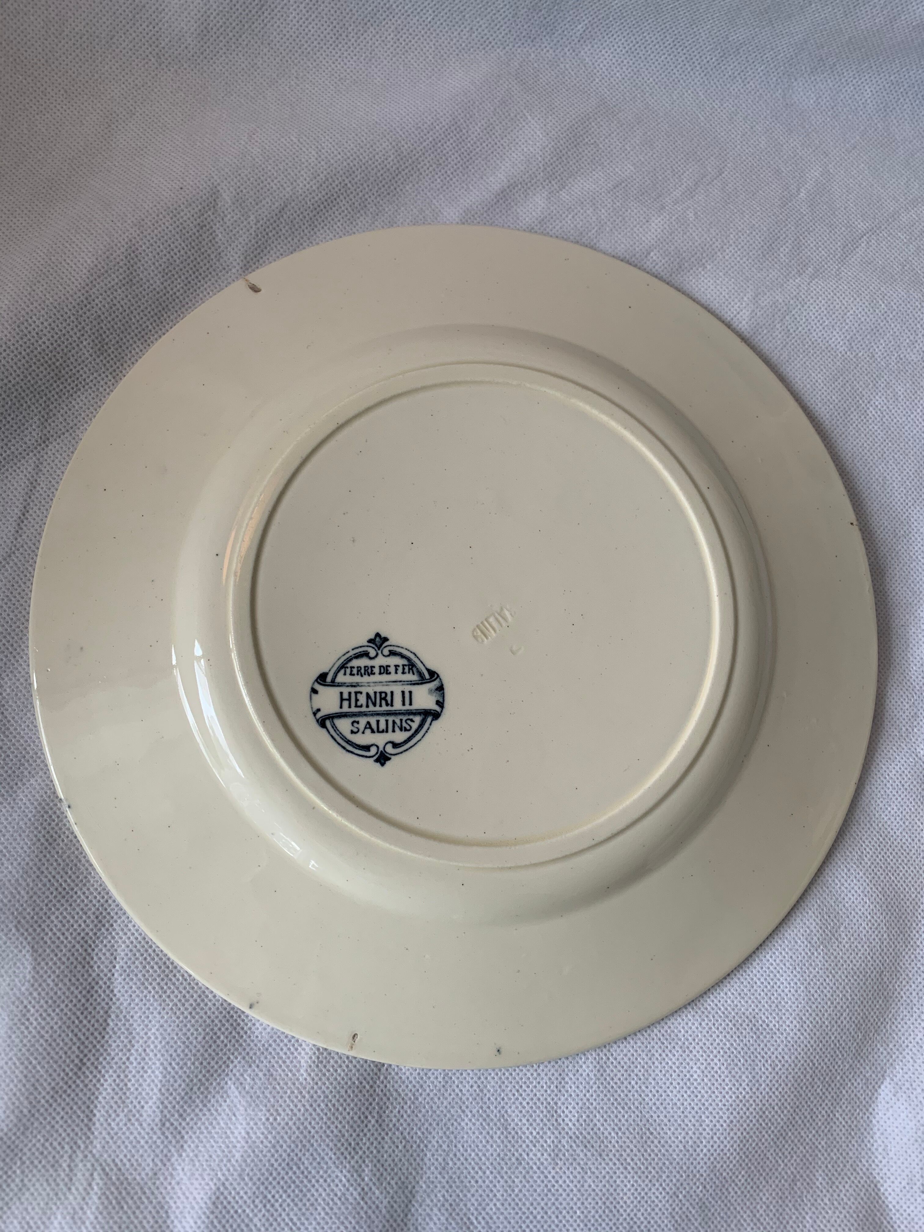 Lot of 12 old flat plates and 2 dishes, Terre de fer Henri II Salins