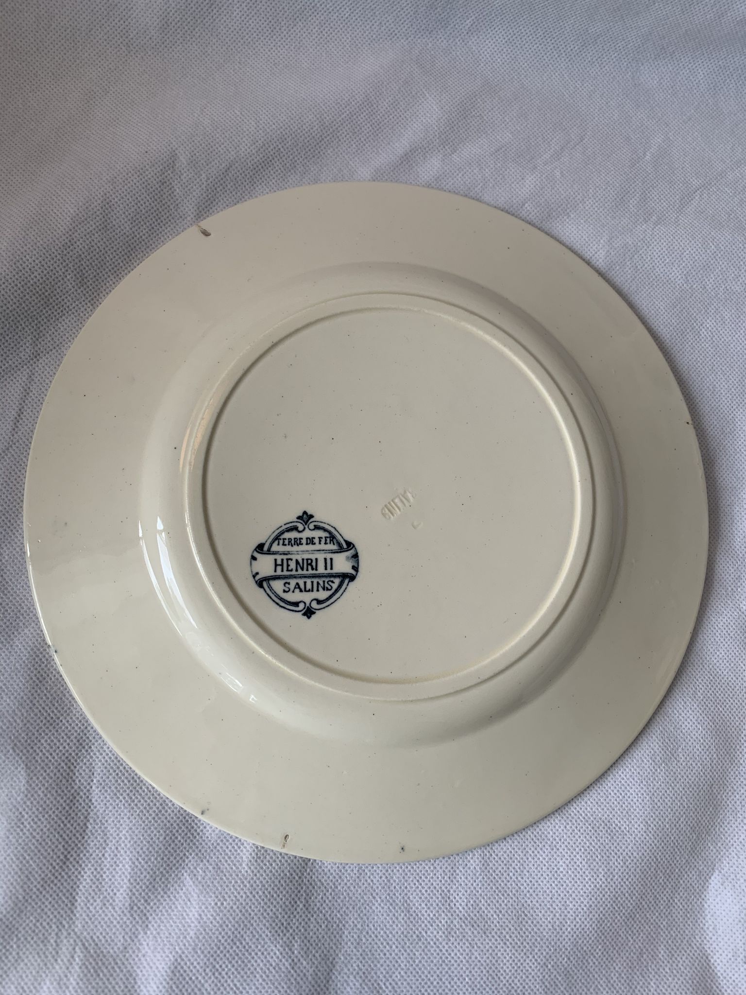 Lot of 12 old flat plates and 2 dishes, Terre de fer Henri II Salins