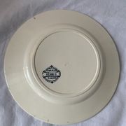 Lot of 12 old flat plates and 2 dishes, Terre de fer Henri II Salins