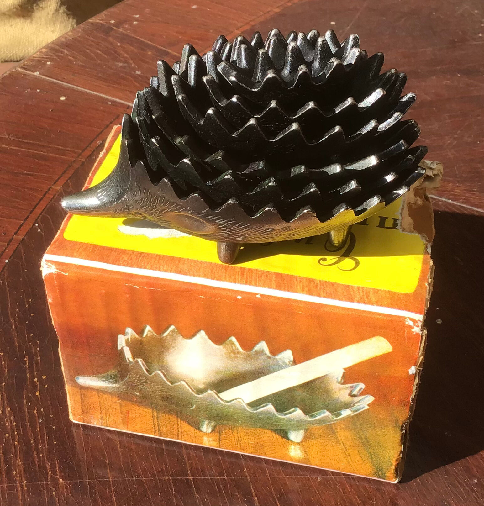 Family of 6 hedgehogs to adopt after Walter Bosse