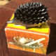 Family of 6 hedgehogs to adopt after Walter Bosse