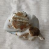 Virgin and child biscuit