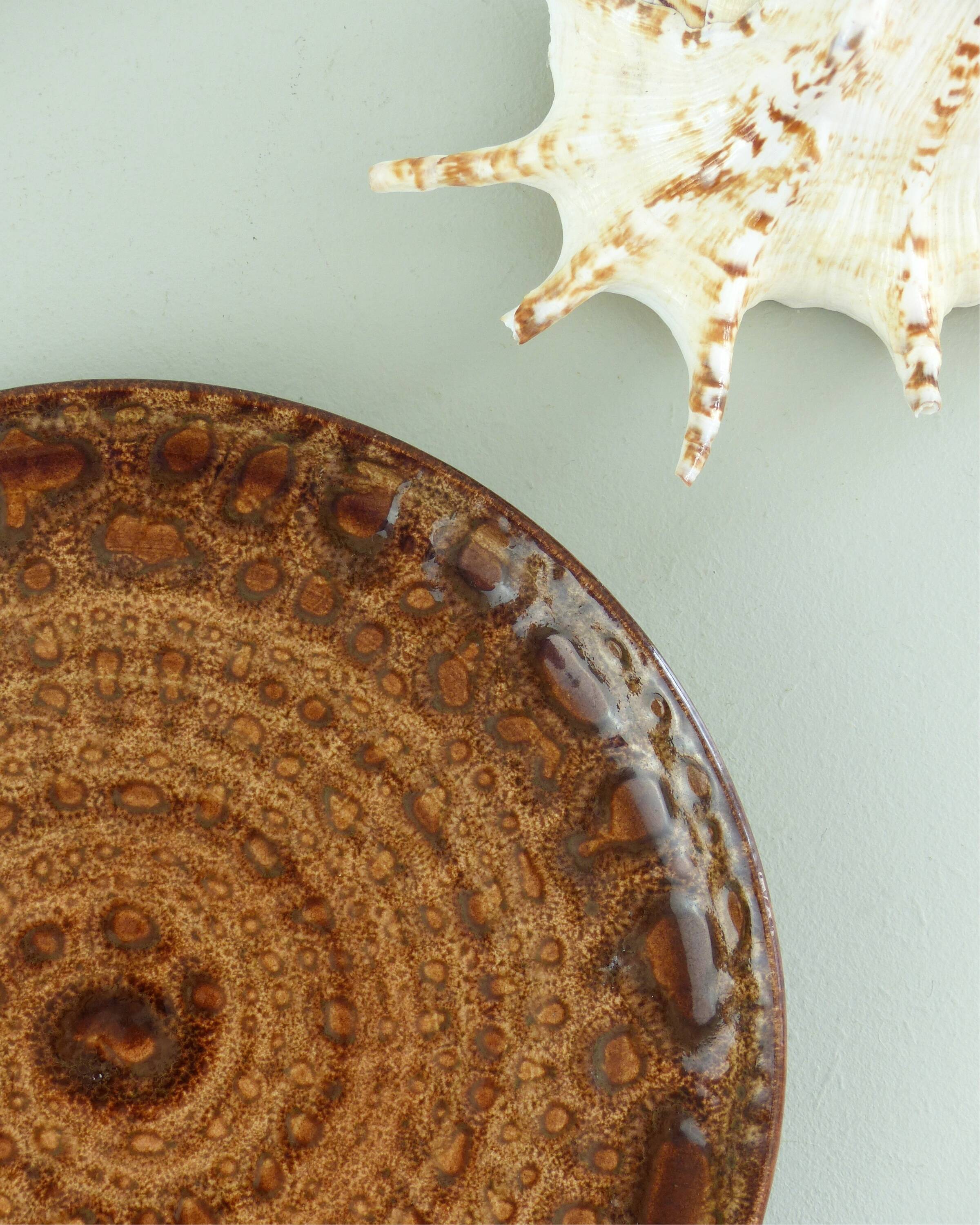 Set of 10 brown ceramic dinner plates