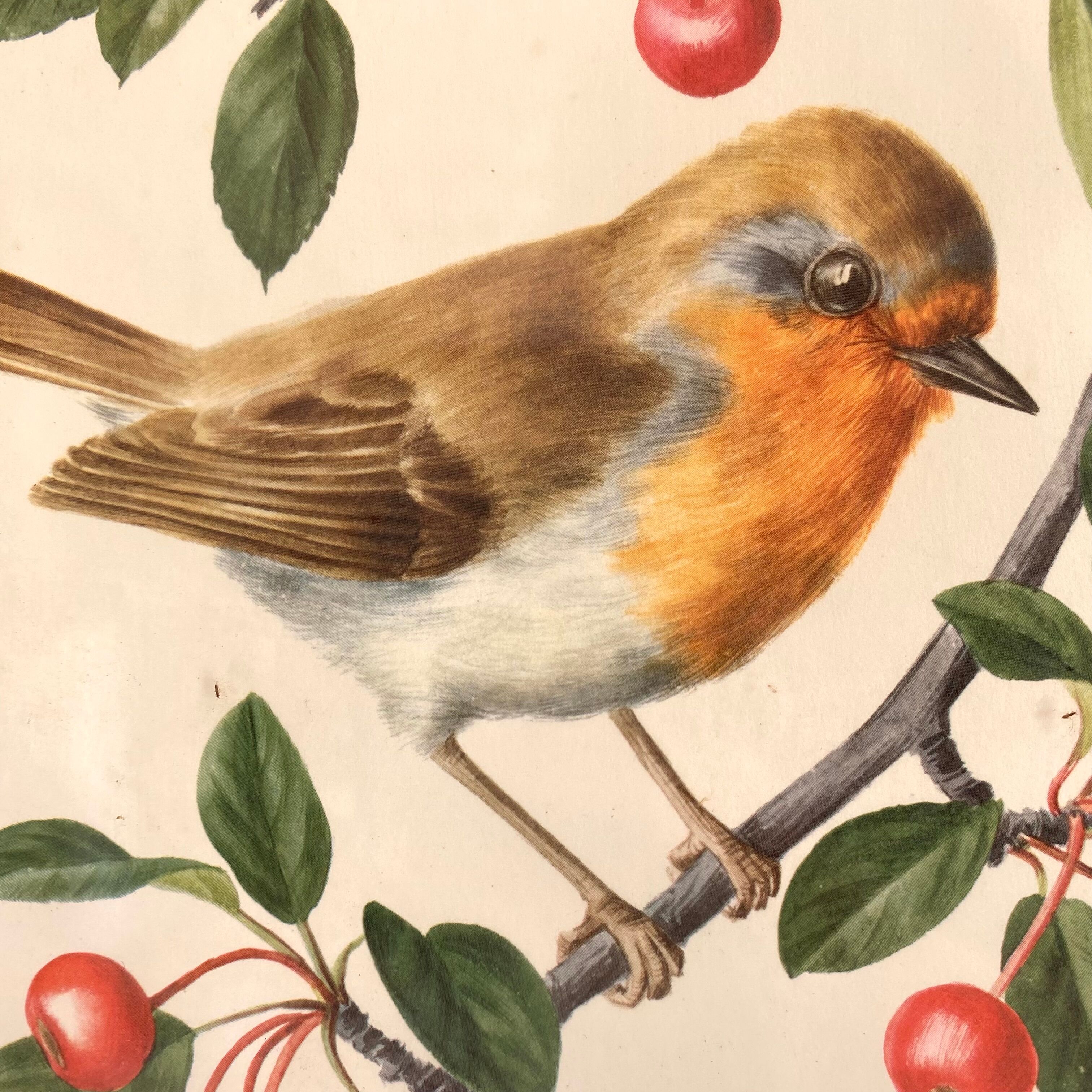 Antique engraving bird in metal frame