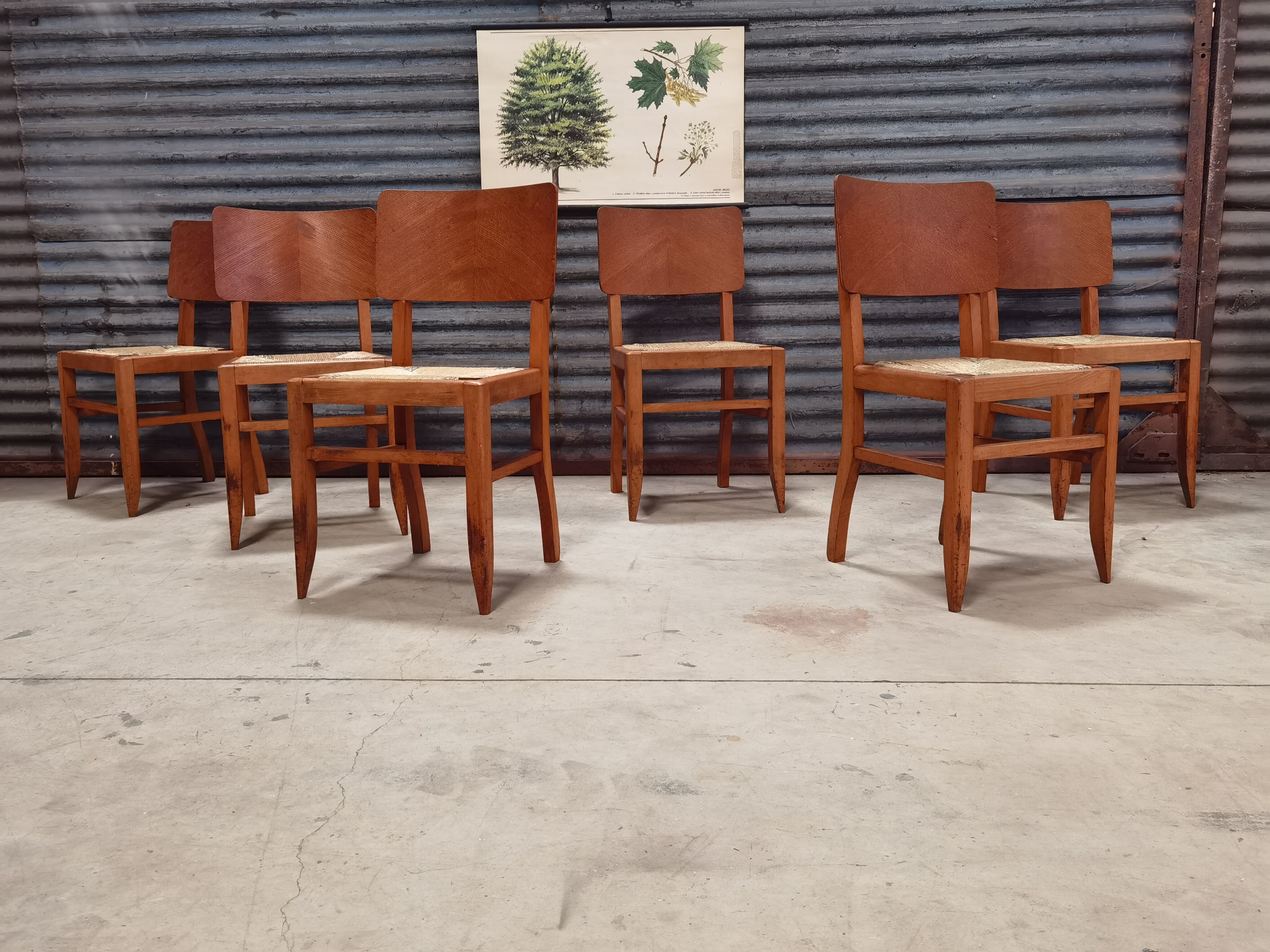 Set of 6 chairs straw wood reconstruction