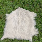 Hairy carpet