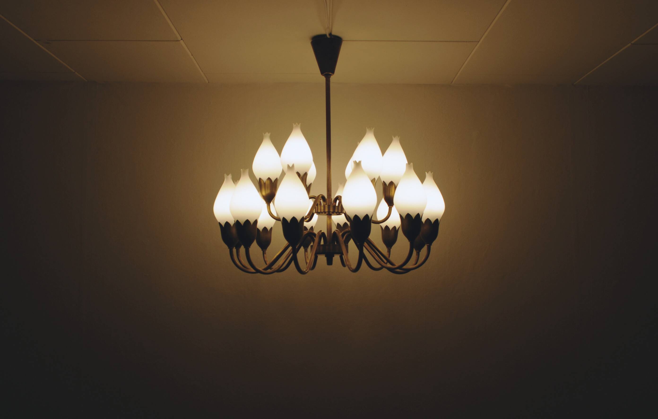 Fog & Mørup 18-Arm Brass and Opaline Glass Tulip Chandelier