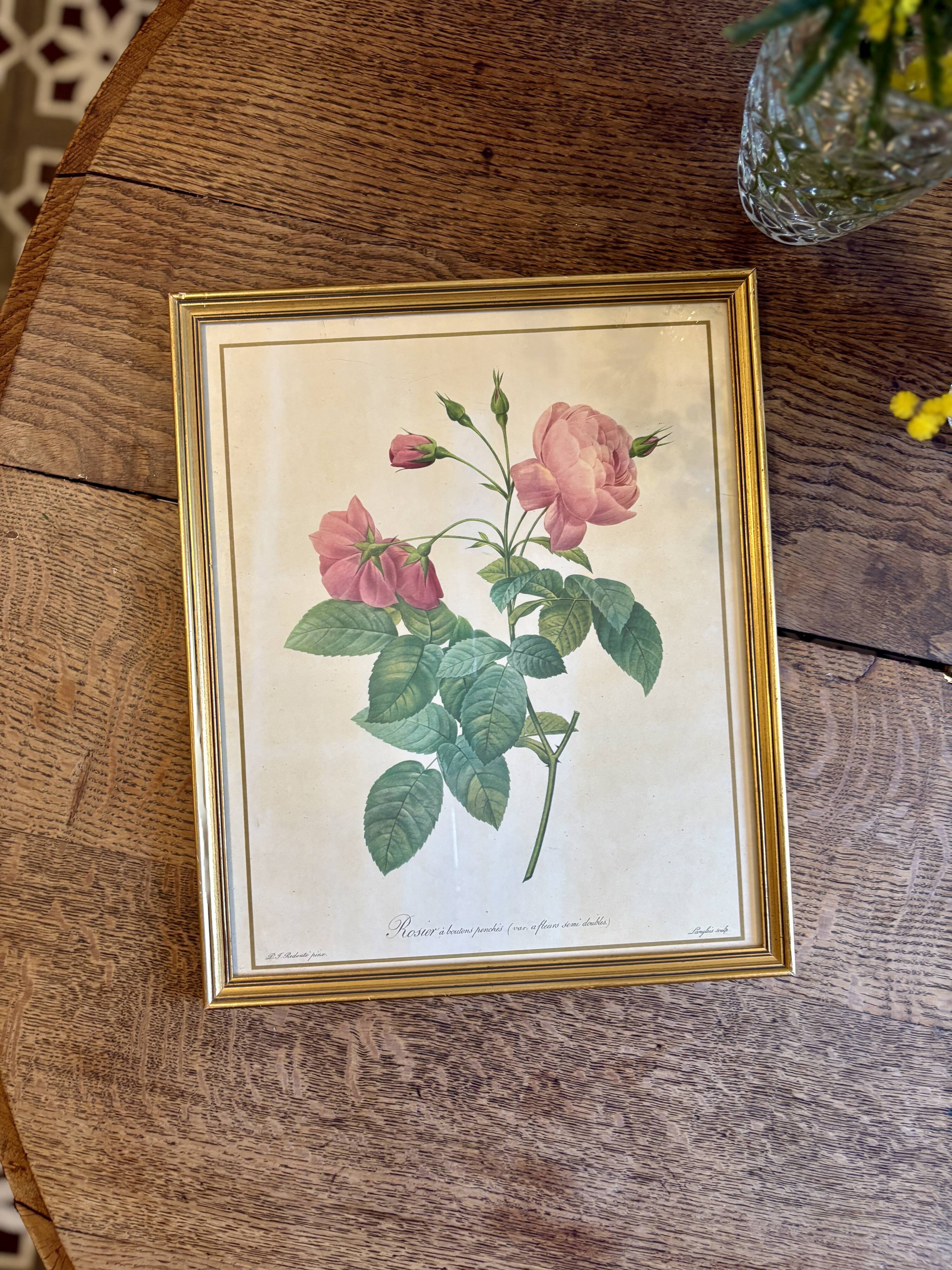 Old frame Redouté roses