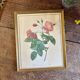 Old frame Redouté roses