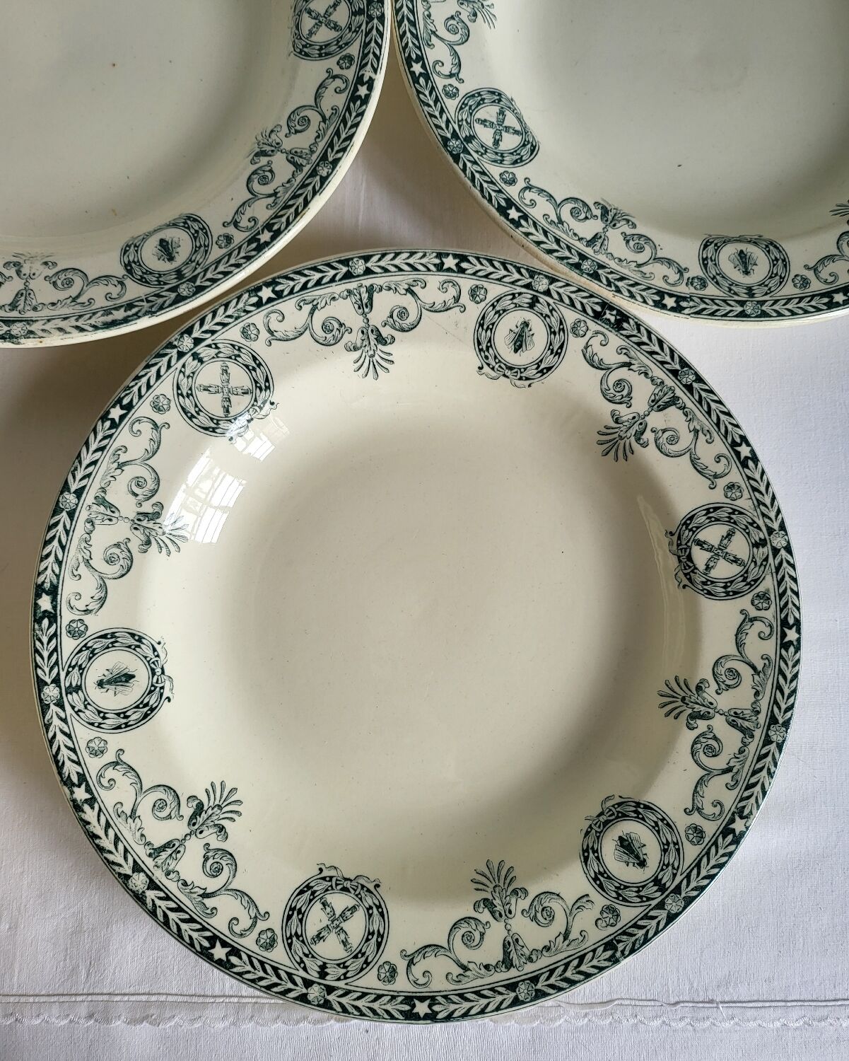 11 Deep Plates Ironstone Salins Cambacérès Decor