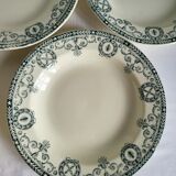 11 Deep Plates Ironstone Salins Cambacérès Decor