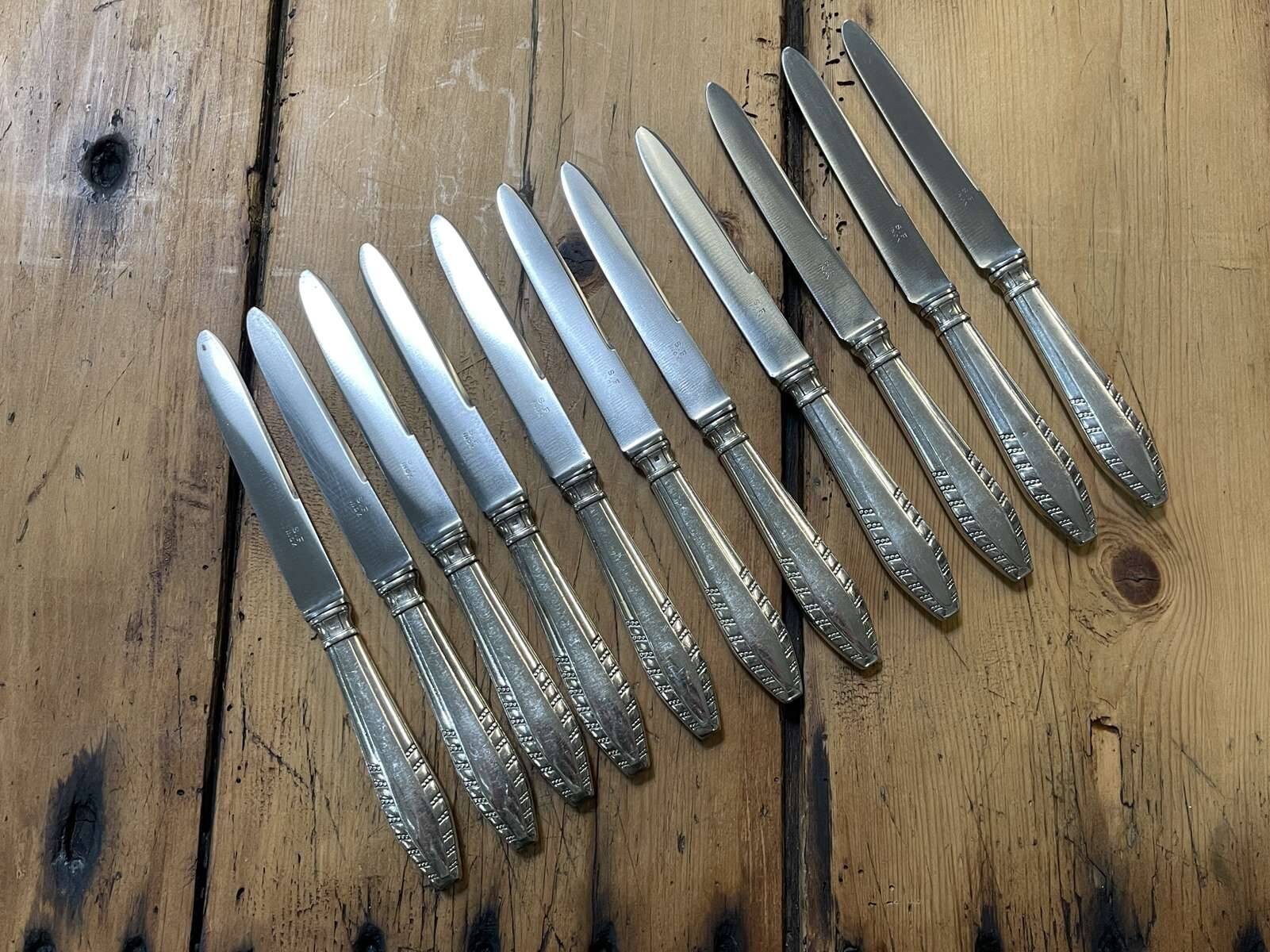 Set of 11 dessert knives in silver metal with stainless steel blades