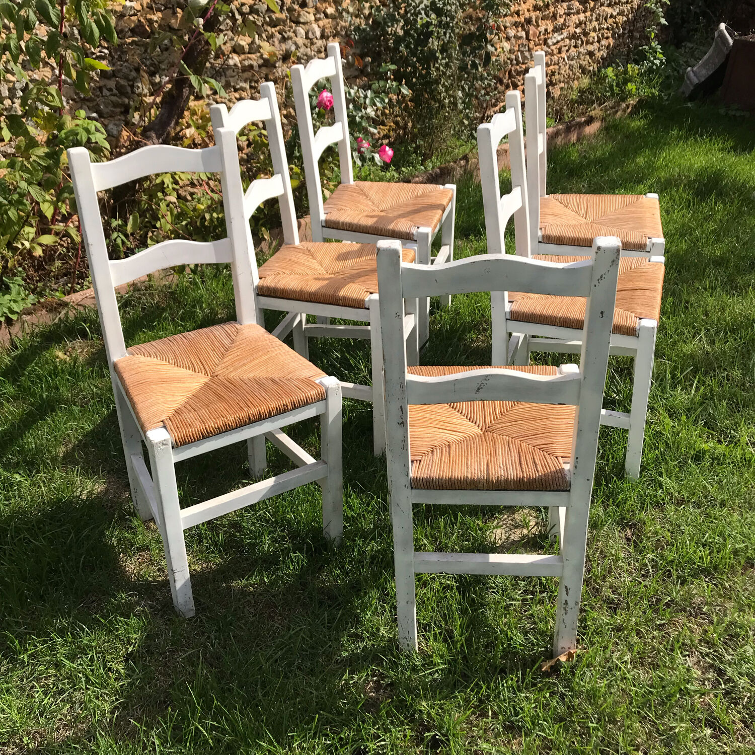 6 chaises blanches en bois assises paillées