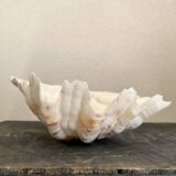 20 cm holy water font cabinet of curiosities