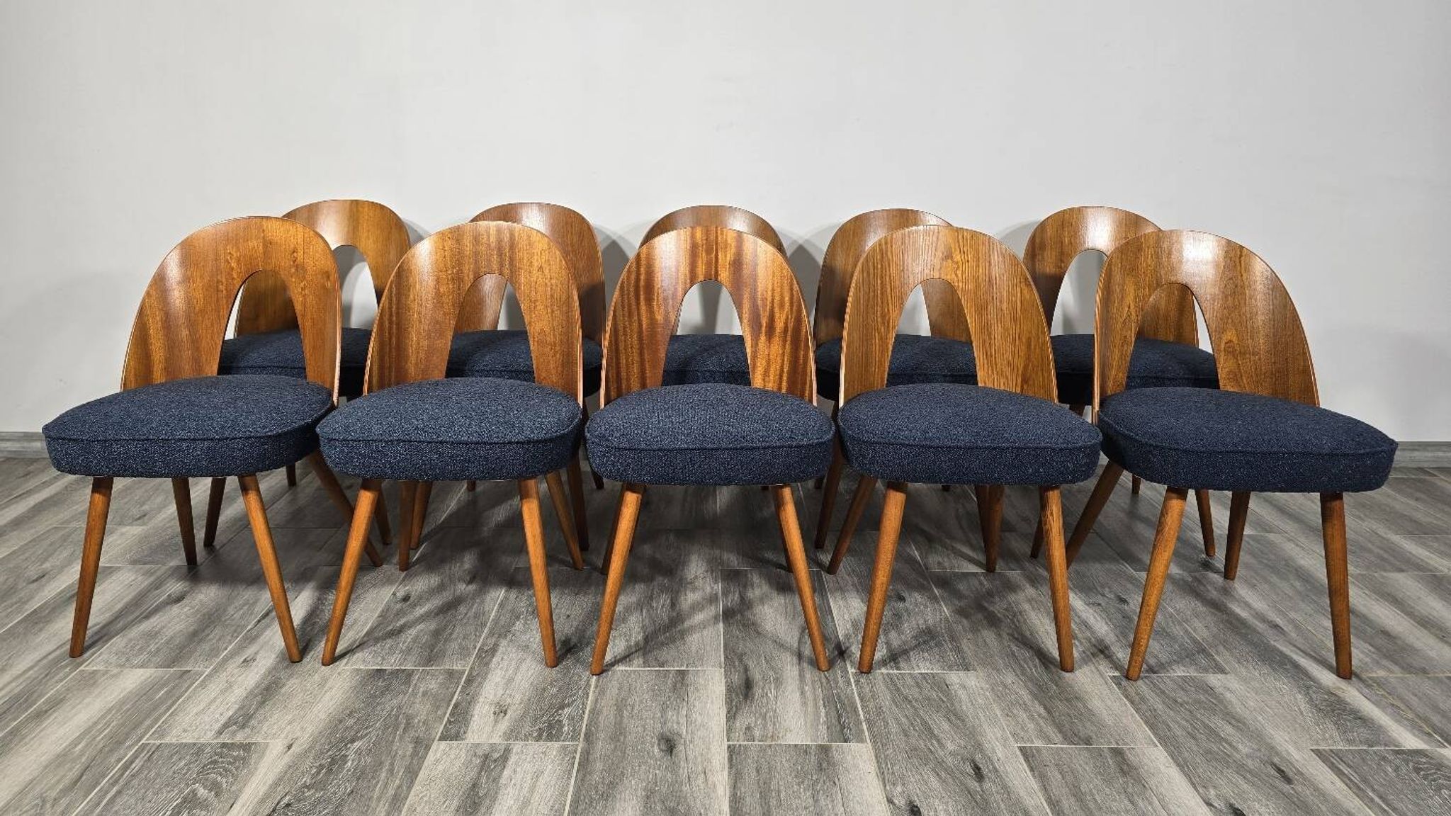 Chaises de salle à manger par Antonin Suman, années 1960, lot de 10