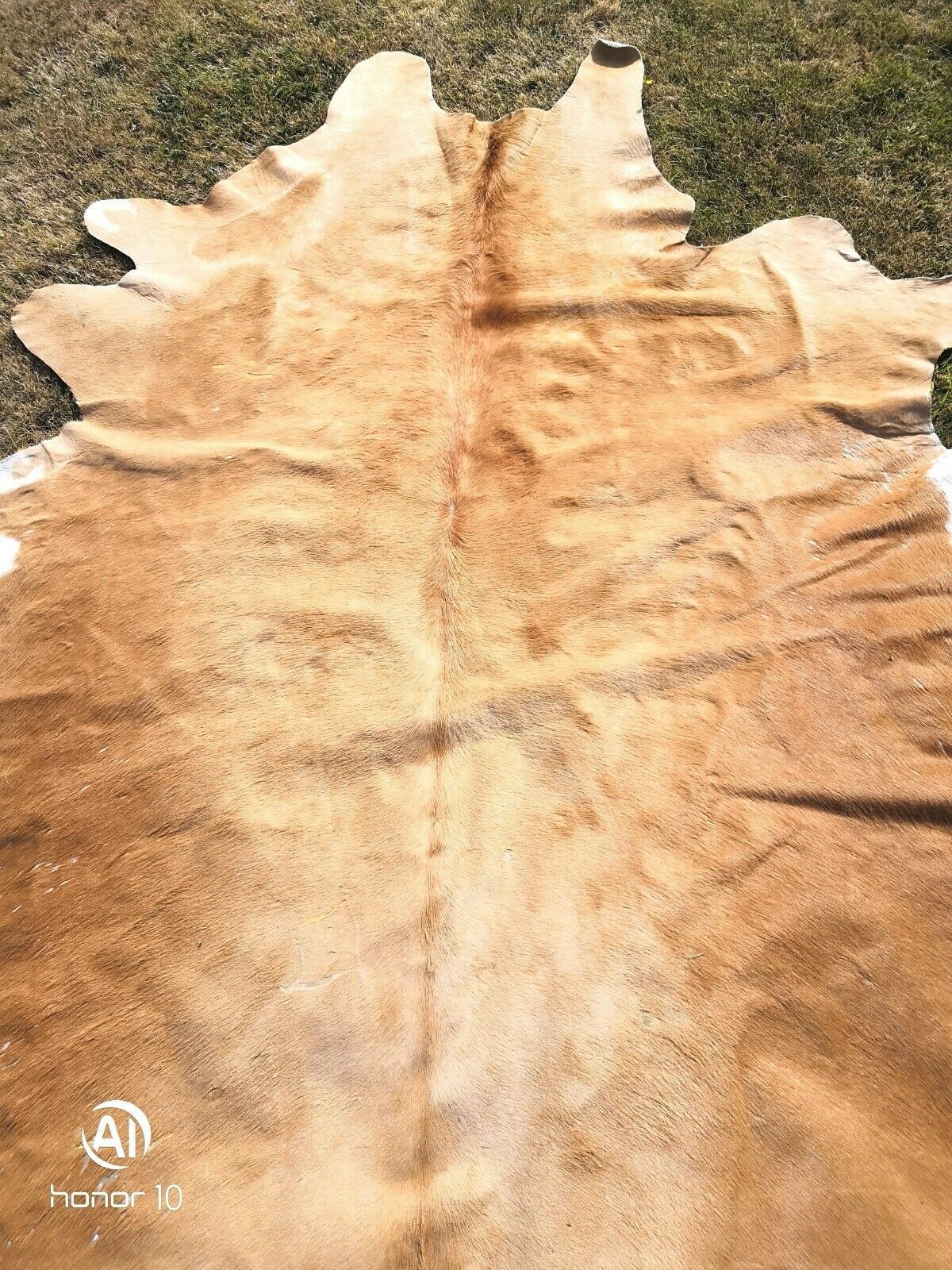 Tapis peau de vache