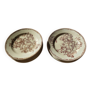 assiettes Datura terre