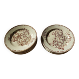 Datura plates iron earth