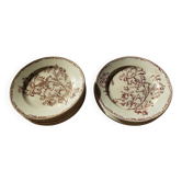 Datura plates iron earth