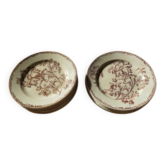 Datura plates iron earth