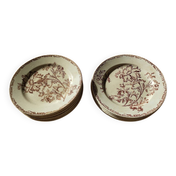 Datura plates iron earth
