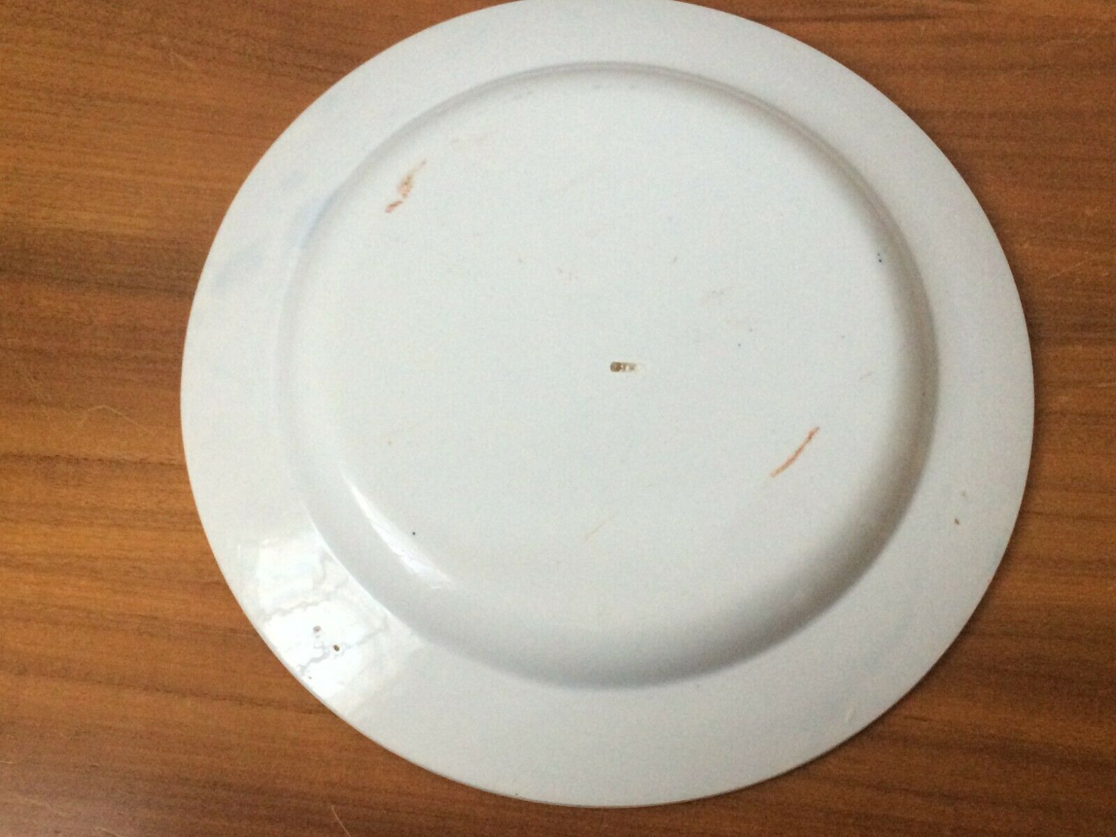 Gien earthenware plate seen from Wales