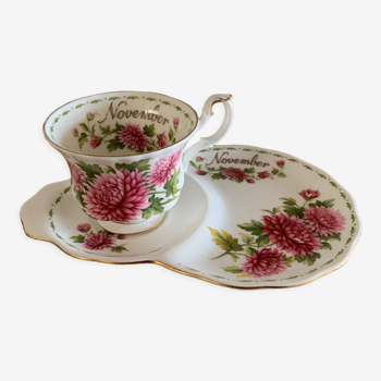 Tasse royal albert novembre