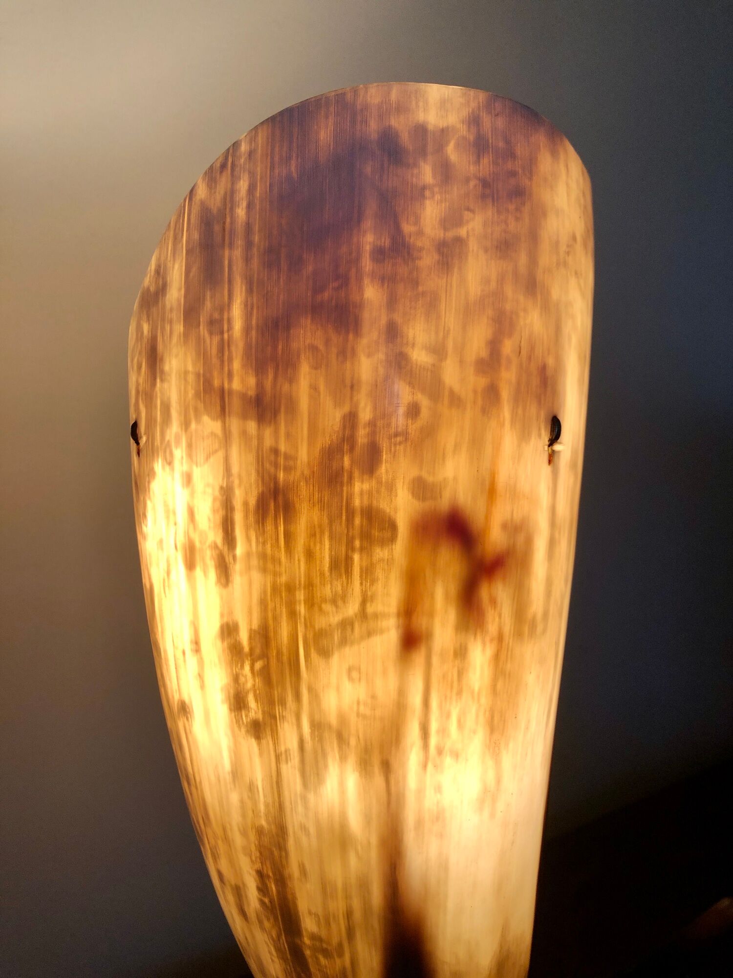 Grande lampe corne